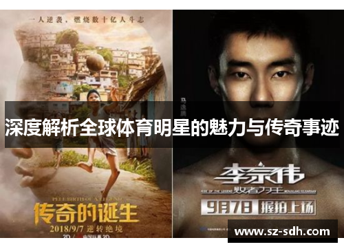 深度解析全球体育明星的魅力与传奇事迹