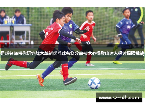 足球名师带你研究战术革新乒乓球名将分享技术心得登山达人探讨极限挑战